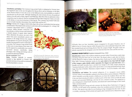 Reptiles of Victoria:  A Guide to Identification and Ecology - Image 3