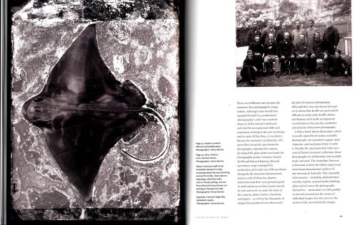 Capturing Nature: Early Scientific Photography at the Australian Museum 1857–1893 - Image 4