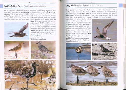 Field Guide to Birds of North Queensland (Second Edition) - Image 2
