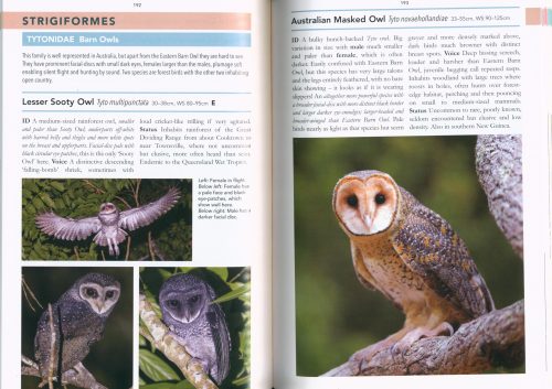 Field Guide to Birds of North Queensland (Second Edition) - Image 3