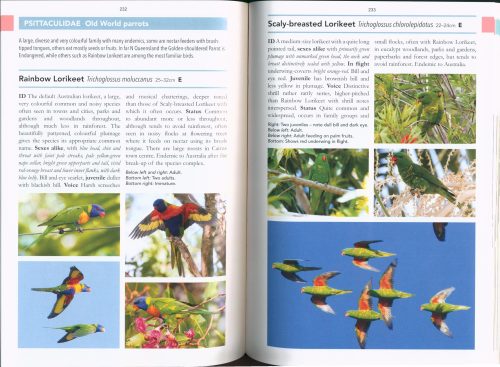Field Guide to Birds of North Queensland (Second Edition) - Image 4