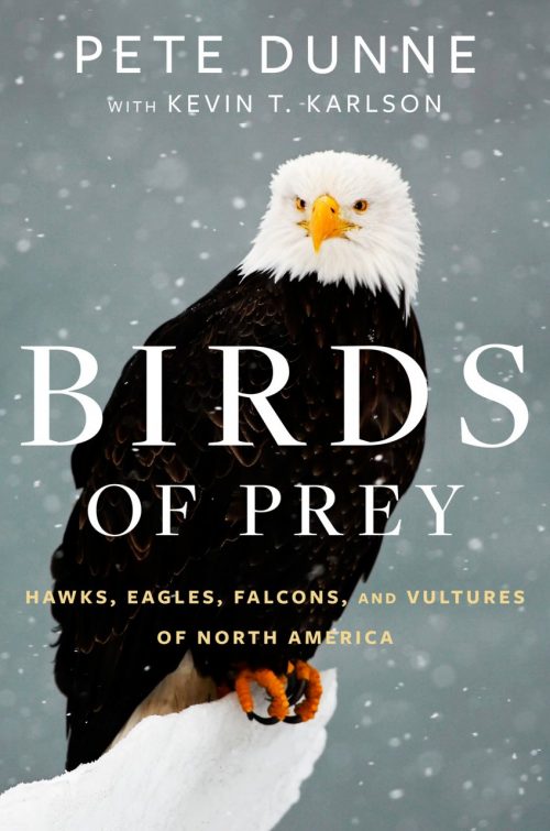 Birds of Prey:  Hawks, Eagles, Falcons, and Vultures of North America
