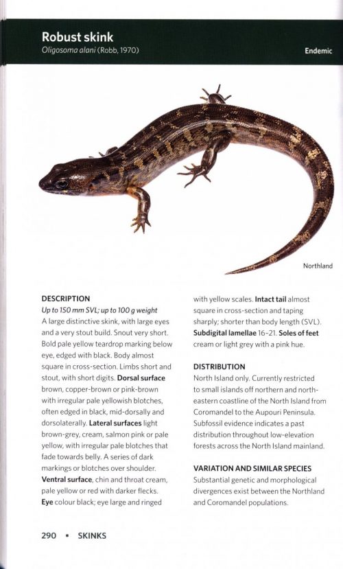 Reptiles and Amphibians of New Zealand: A Field Guide - Image 2