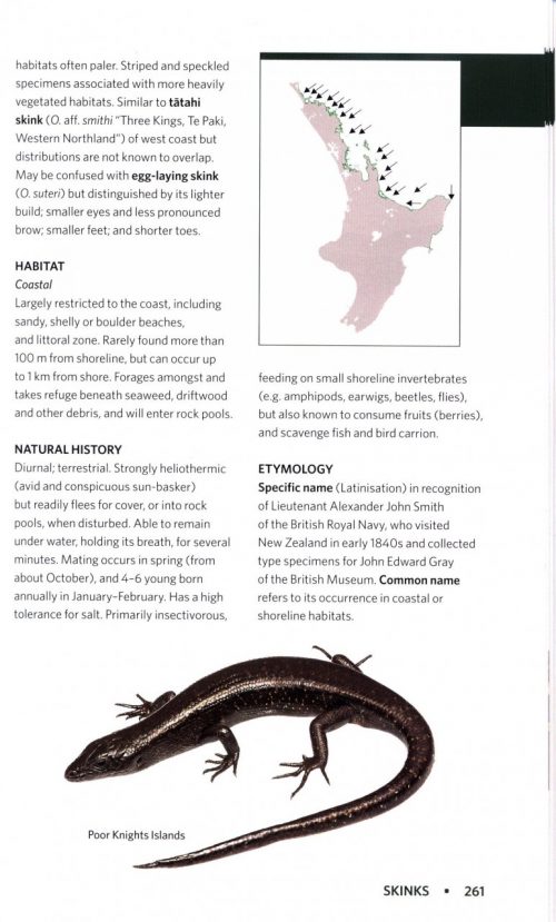 Reptiles and Amphibians of New Zealand: A Field Guide - Image 3