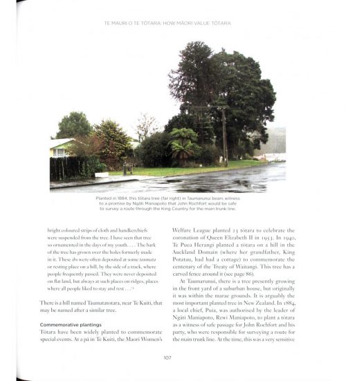 Tōtara: A Natural and Cultural History - Image 3