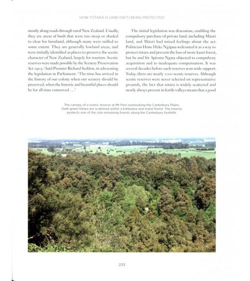 Tōtara: A Natural and Cultural History - Image 4