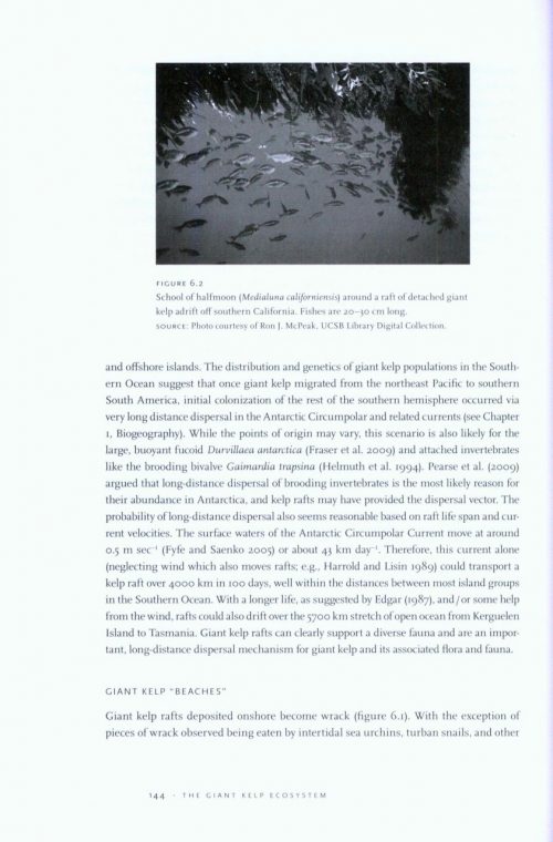 The Biology and Ecology of Giant Kelp Forests - Image 3
