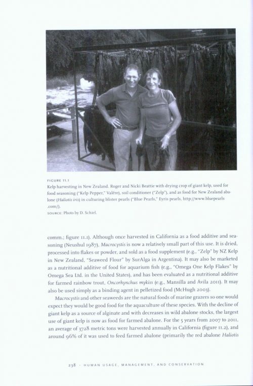 The Biology and Ecology of Giant Kelp Forests - Image 4