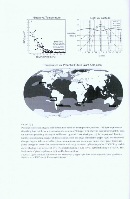 The Biology and Ecology of Giant Kelp Forests - Image 5