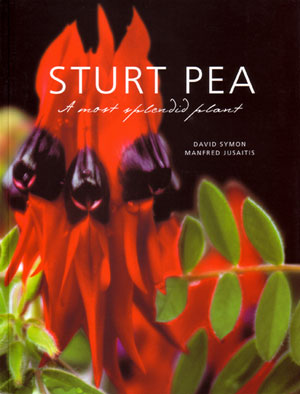 Sturt Pea:  A Most Splendid Plant