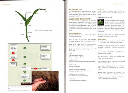 Managing Weeds:  A Practical Handbook - Image 3