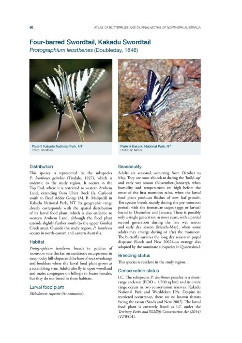 Atlas of Butterflies and Diurnal Moths in the Monsoon Tropics of Northern Australia - Image 2