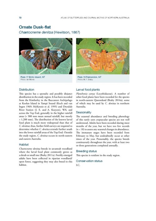 Atlas of Butterflies and Diurnal Moths in the Monsoon Tropics of Northern Australia - Image 3