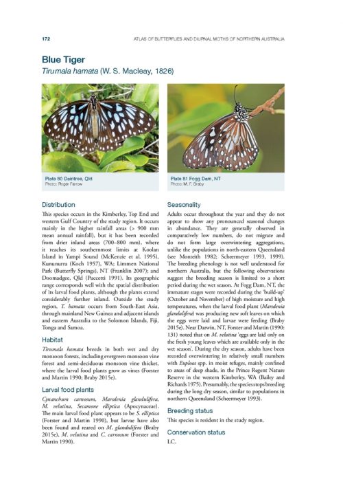 Atlas of Butterflies and Diurnal Moths in the Monsoon Tropics of Northern Australia - Image 4