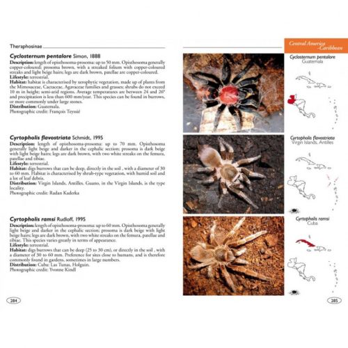 Tarantulas of the World:  Theraphosidae - Image 4