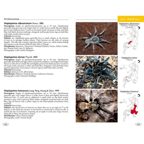 Tarantulas of the World:  Theraphosidae - Image 6