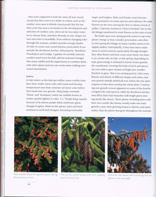 Gardening with Conifers (Second Edition) - Image 6
