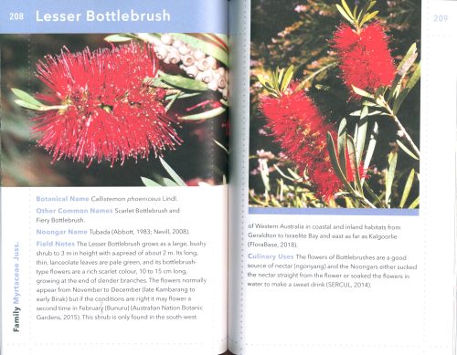 Noongar Bush Tucker: Bush Food Plants and Fungi of the South-West of Western Australia - Image 3