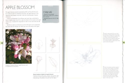 Botanical Drawing:  A Step-by-Step Guide to Drawing Flowers, Vegetables, Fruit and Other Plant Life - Image 3