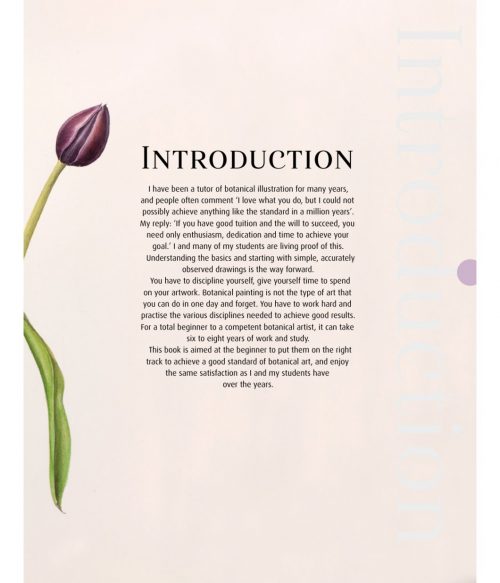 Beginner's Guide to Botanical Flower Painting - Image 2