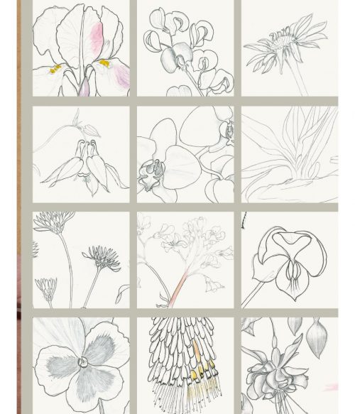Beginner's Guide to Botanical Flower Painting - Image 4