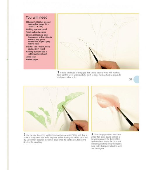 Beginner's Guide to Botanical Flower Painting - Image 6