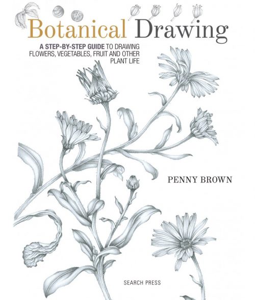 Botanical Drawing:  A Step-by-Step Guide to Drawing Flowers, Vegetables, Fruit and Other Plant Life