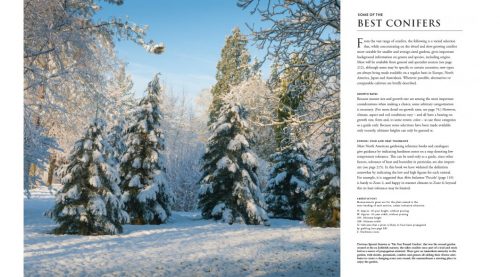 Gardening with Conifers (Second Edition) - Image 2