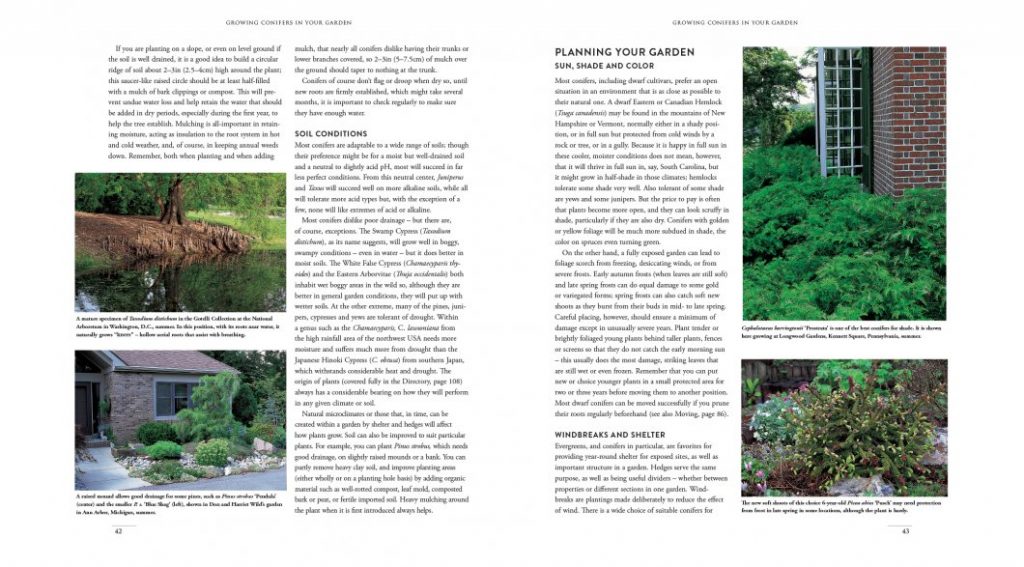 Gardening with Conifers (Second Edition) - Nokomis