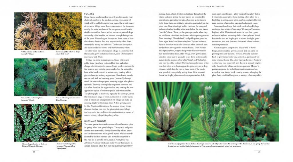 Gardening with Conifers (Second Edition) - Nokomis