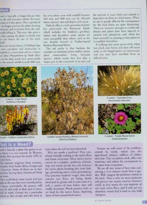 Guide to the Wildflowers of Western Australia:  Over 1150 Plant Species Illustrated (Third Edition) - Image 2