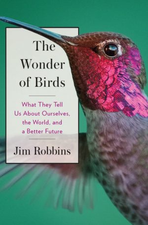 The Wonder of Birds:  What Birds Tell Us About Ourselves, the World, and a Better Future