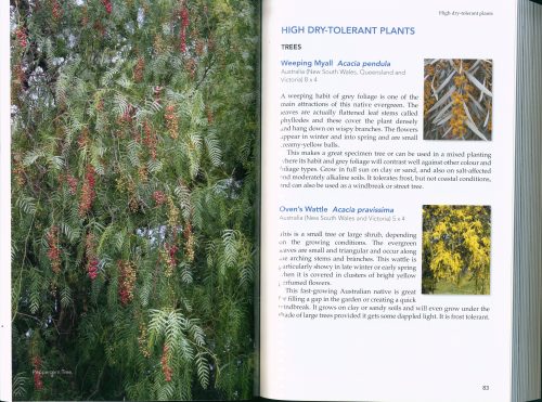 Waterwise Plants and Gardening - Image 3