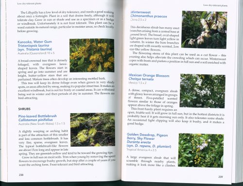 Waterwise Plants and Gardening - Image 2