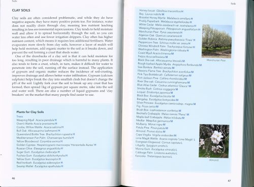 Waterwise Plants and Gardening - Image 4