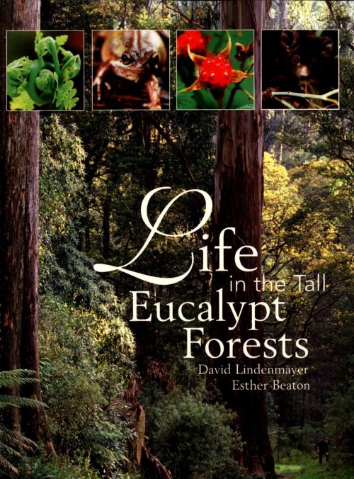Life in the Tall Eucalypt Forests