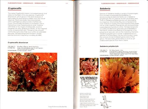Marine Plants of Australia (Revised and Updated Edition) - Image 2