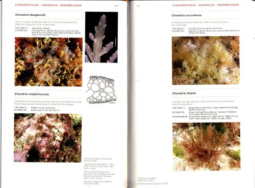 Marine Plants of Australia (Revised and Updated Edition) - Image 3