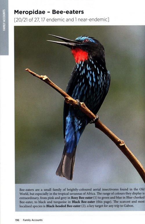 The Birder's Guide to Africa - Image 3