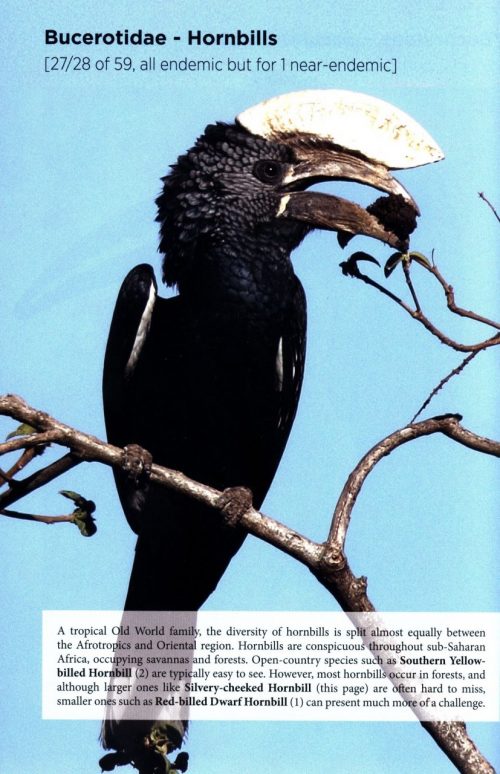 The Birder's Guide to Africa - Image 5