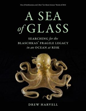 A Sea of Glass:  Searching for the Blaschkas' Fragile Legacy in an Ocean at Risk