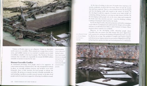 Crocodiles of the World:  A Complete Guide to Alligators, Caimans, Crocodiles and Gharials (Hardcover) - Image 3