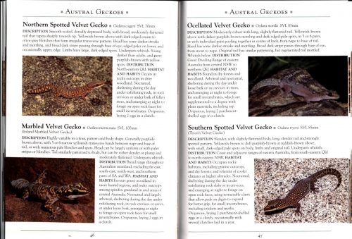 A Naturalist's Guide to the Reptiles of Australia (Second Edition) - Image 4
