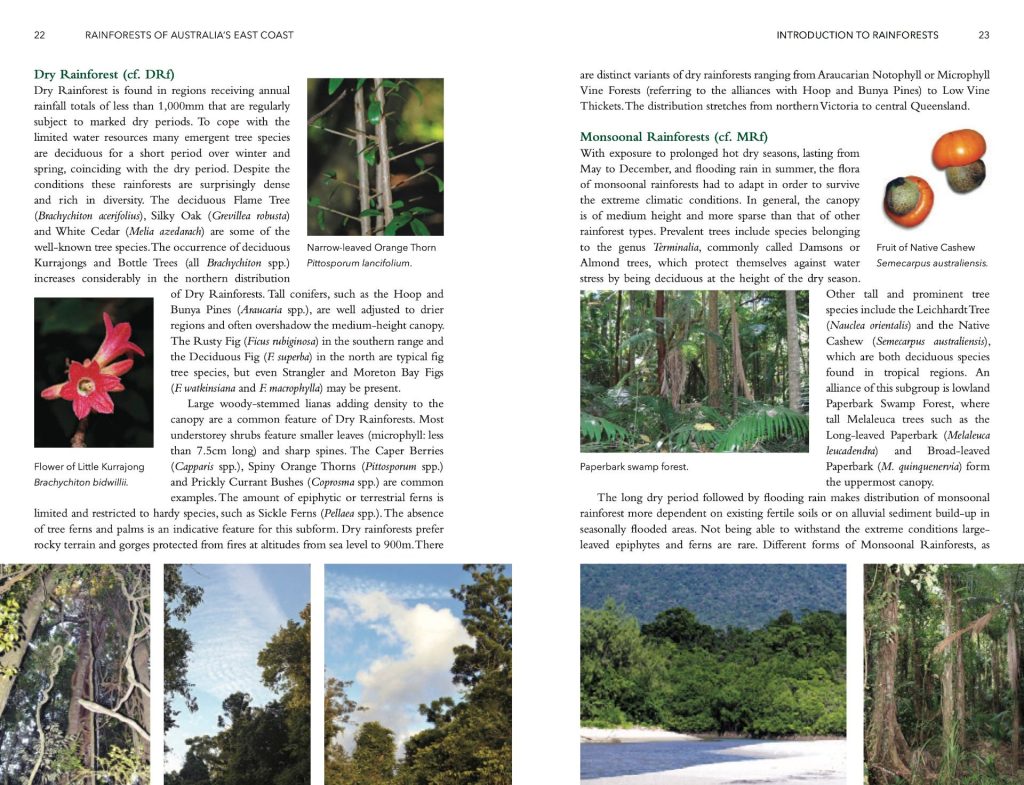 Rainforests of Australia's East Coast (Updated Edition) - Nokomis