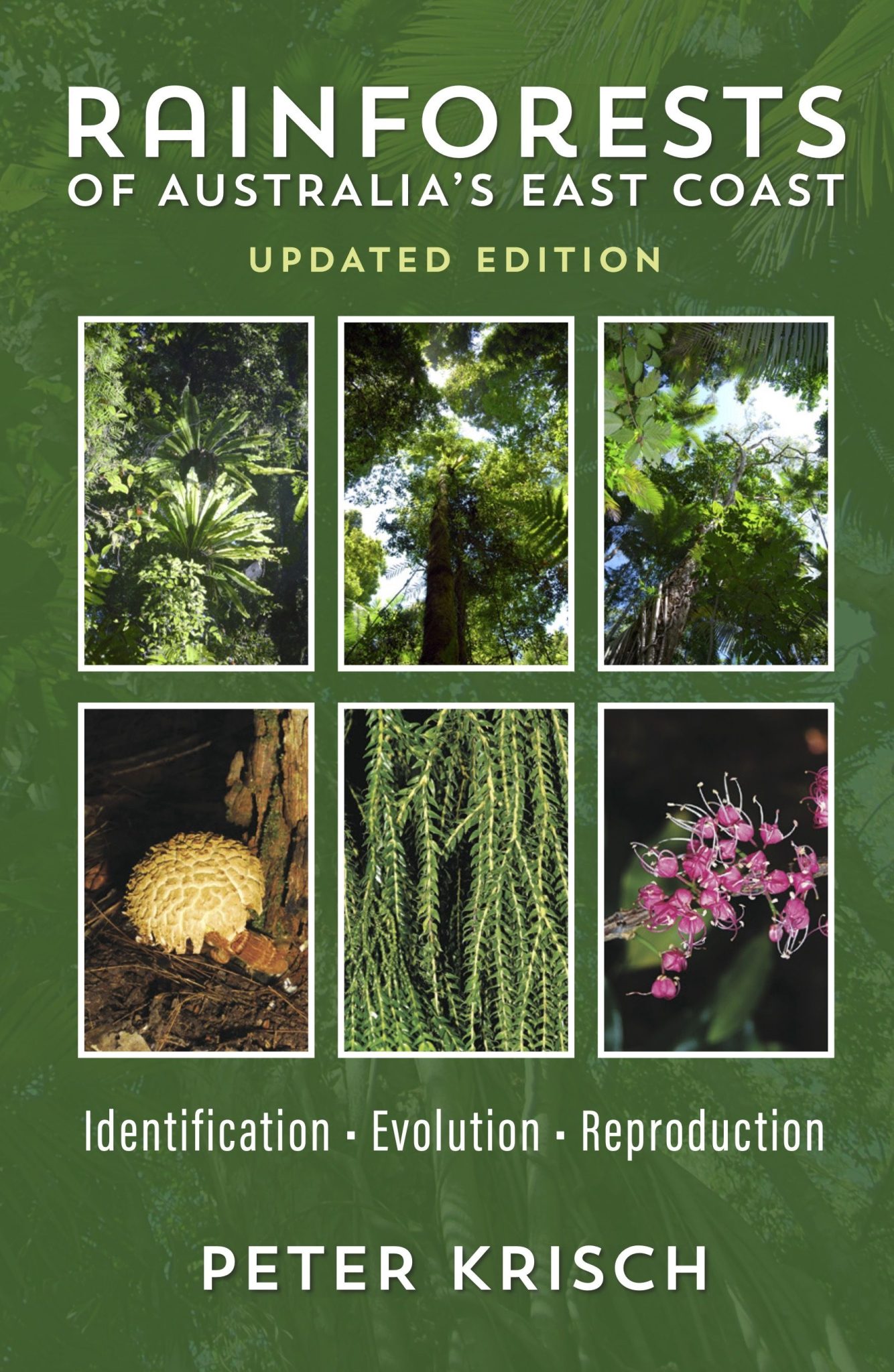 Rainforests of Australia's East Coast (Updated Edition) - Nokomis