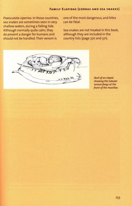 Snakes of Europe, North Africa and the Middle East: A Photographic Guide - Image 3