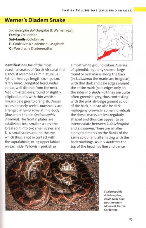 Snakes of Europe, North Africa and the Middle East: A Photographic Guide - Image 4