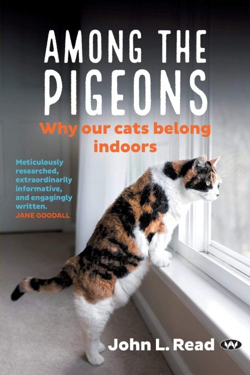 Among the Pigeons:  Why Our Cats Belong Indoors