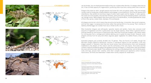 Dragon Lizards of Australia: Evolution, Ecology and a Comprehensive Field Guide - Image 4