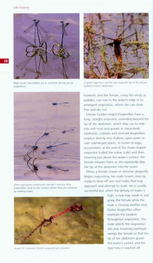 Field Guide to the Dragonflies & Damselflies of Great Britain and ...